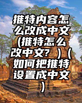 推特内容怎么改成中文(推特怎么改中文? )（如何把推特设置成中文）