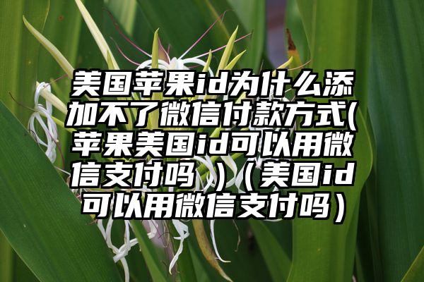 美国苹果id为什么添加不了微信付款方式(苹果美国id可以用微信支付吗 )（美国id可以用微信支付吗）