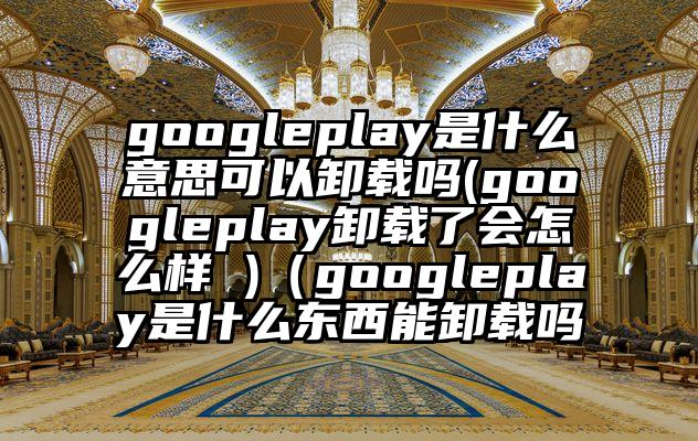 googleplay是什么意思可以卸载吗(googleplay卸载了会怎么样 )（googleplay是什么东西能卸载吗