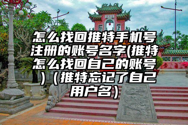 怎么找回推特手机号注册的账号名字(推特怎么找回自己的账号 )（推特忘记了自己用户名）