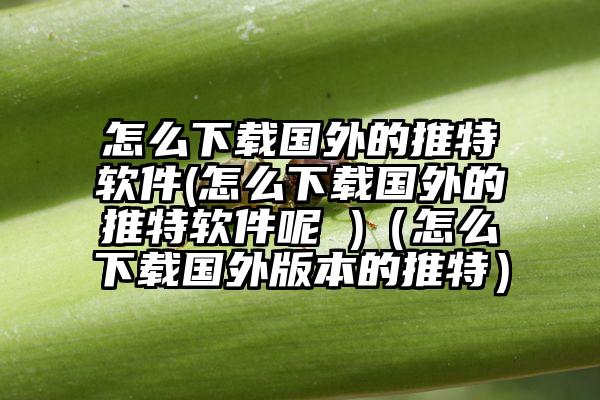 怎么下载国外的推特软件(怎么下载国外的推特软件呢 )（怎么下载国外版本的推特）