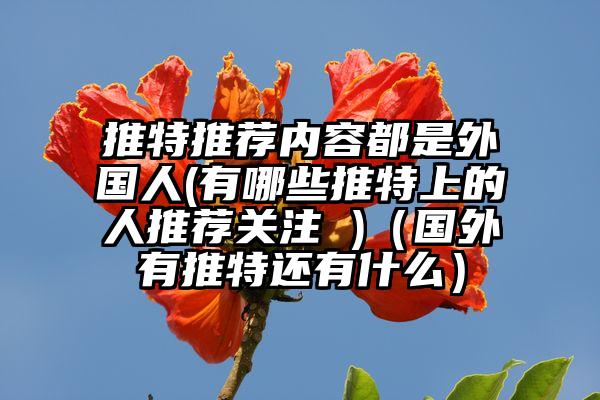 推特推荐内容都是外国人(有哪些推特上的人推荐关注 )（国外有推特还有什么）