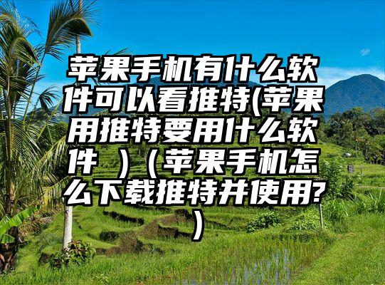 苹果手机有什么软件可以看推特(苹果用推特要用什么软件 )（苹果手机怎么下载推特并使用?）