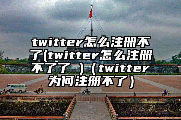 twitter怎么注册不了(twitter怎么注册不了了 )（twitter为何注册不了）