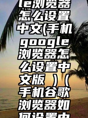 手机google浏览器怎么设置中文(手机google浏览器怎么设置中文版 )（手机谷歌浏览器如何设置中文）