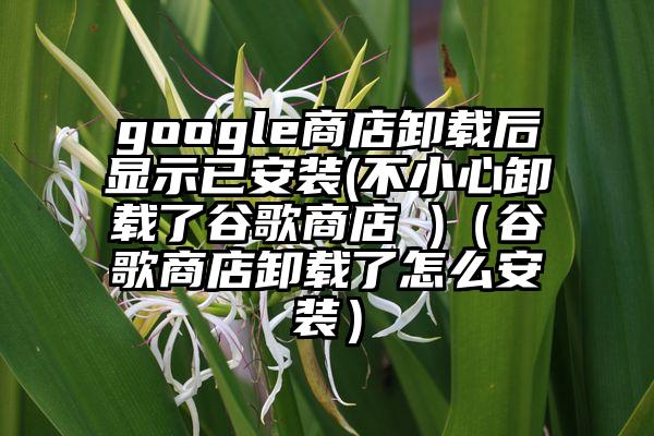 google商店卸载后显示已安装(不小心卸载了谷歌商店 )（谷歌商店卸载了怎么安装）