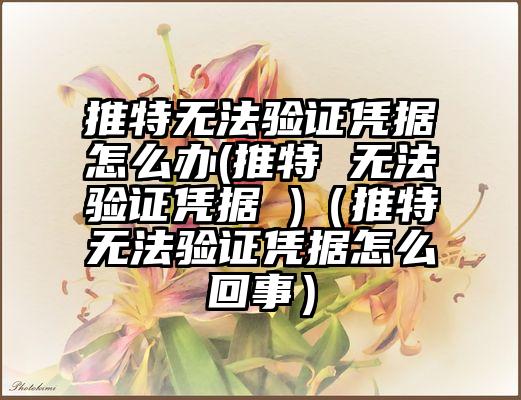 推特无法验证凭据怎么办(推特 无法验证凭据 )（推特无法验证凭据怎么回事）