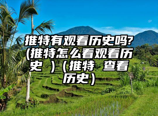 推特有观看历史吗?(推特怎么看观看历史 )（推特 查看历史）