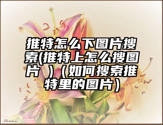 推特怎么下图片搜索(推特上怎么搜图片 )（如何搜索推特里的图片）