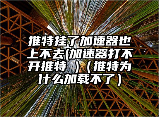 推特挂了加速器也上不去(加速器打不开推特 )（推特为什么加载不了）