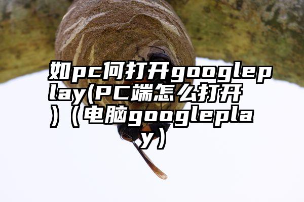 如pc何打开googleplay(PC端怎么打开 )（电脑googleplay）