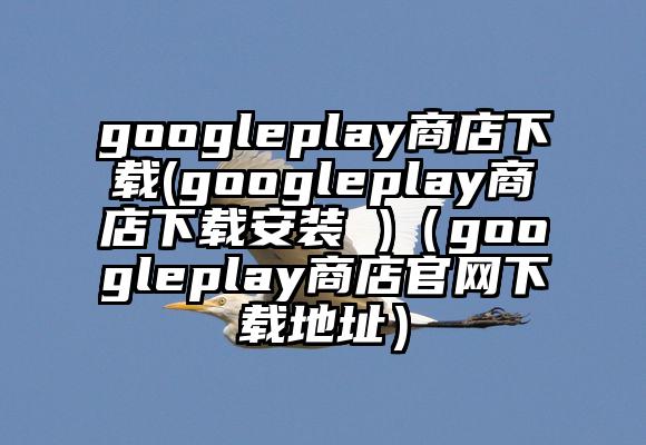 googleplay商店下载(googleplay商店下载安装 )（googleplay商店官网下载地址）