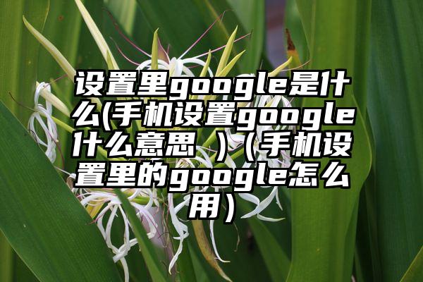 设置里google是什么(手机设置google什么意思 )（手机设置里的google怎么用）