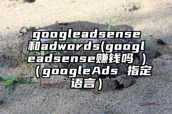 googleadsense和adwords(googleadsense赚钱吗 )（googleAds 指定语言）