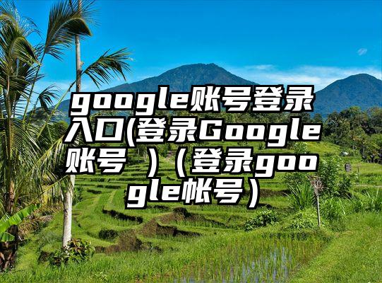 google账号登录入口(登录Google账号 )（登录google帐号）