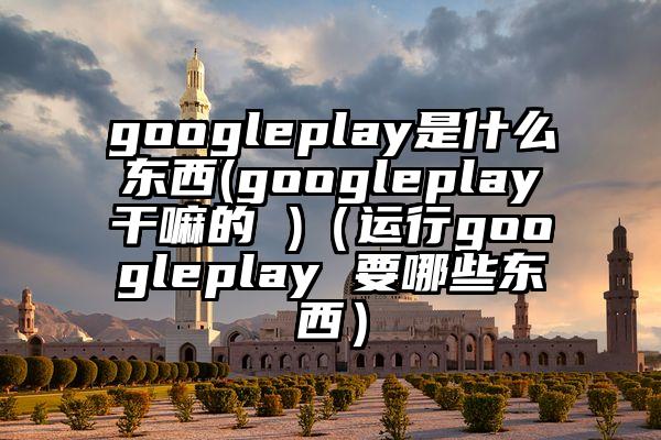 googleplay是什么东西(googleplay干嘛的 )（运行googleplay 要哪些东西）