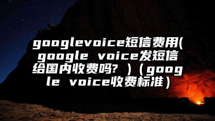 googlevoice短信费用(google voice发短信给国内收费吗? )（google voice收费标准）