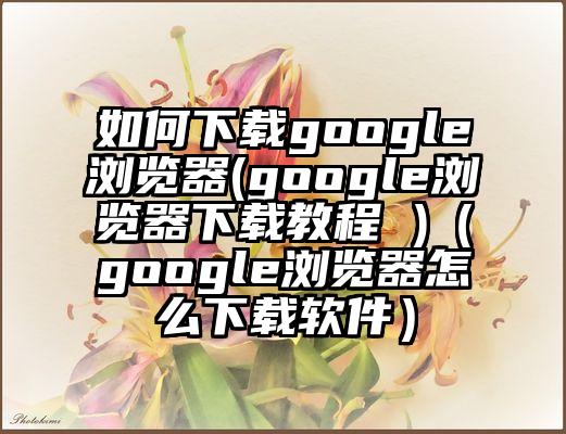 如何下载google浏览器(google浏览器下载教程 )（google浏览器怎么下载软件）