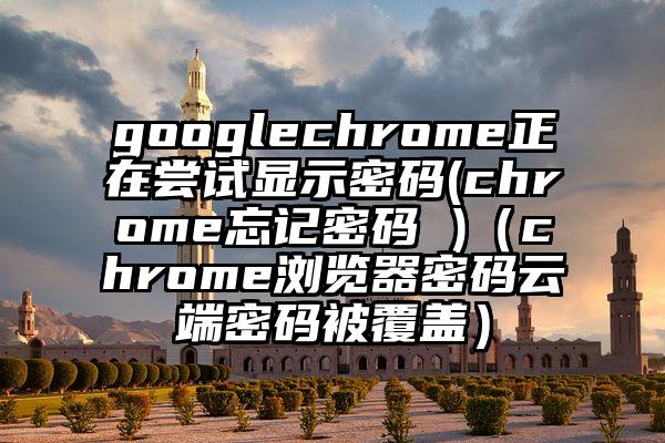 googlechrome正在尝试显示密码(chrome忘记密码 )（chrome浏览器密码云端密码被覆盖）