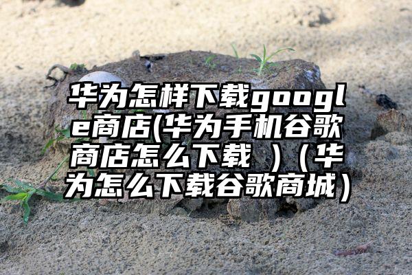 华为怎样下载google商店(华为手机谷歌商店怎么下载 )（华为怎么下载谷歌商城）