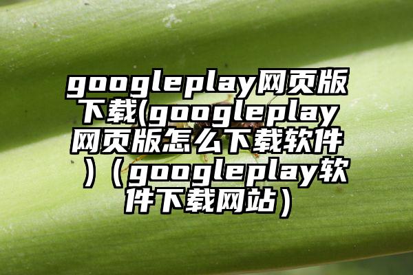 googleplay网页版下载(googleplay网页版怎么下载软件 )（googleplay软件下载网站）