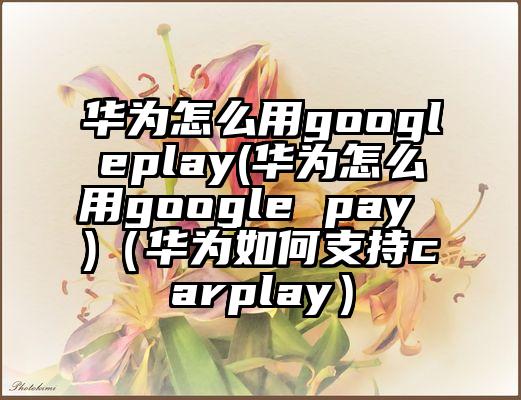 华为怎么用googleplay(华为怎么用google pay )（华为如何支持carplay）