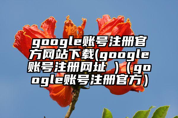 google账号注册官方网站下载(google账号注册网址 )（google账号注册官方）